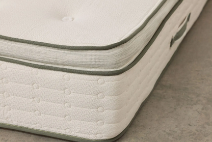 Avocado Green Mattress Pillow Top Medium